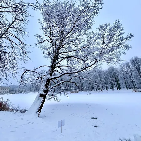 Spacious, Quiet And Bright Apartment, Close Center - Backyard Parking - Mokotow * 华沙