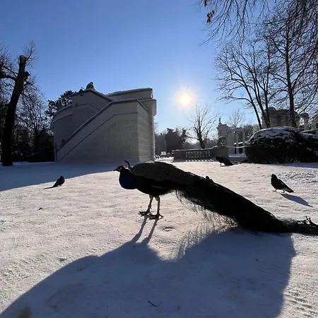 Spacious, Quiet And Bright Apartment, Close Center - Backyard Parking - Mokotow *