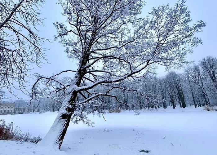 Spacious, Quiet And Bright Apartment, Close Center - Backyard Parking - Mokotow * Warszawa