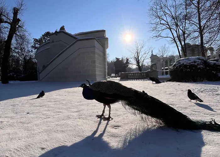 Spacious, Quiet And Bright Apartment, Close Center - Backyard Parking - Mokotow *